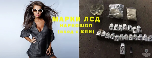 гашик Чегем