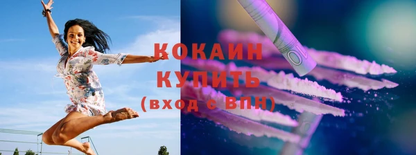 гашик Чегем
