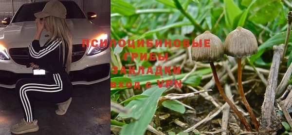 гашик Чегем