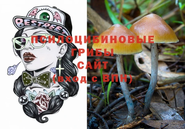 гашик Чегем