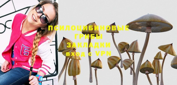 Альфа ПВП Чекалин