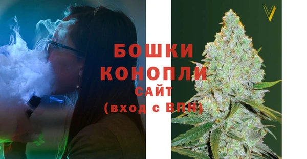 гашик Чегем