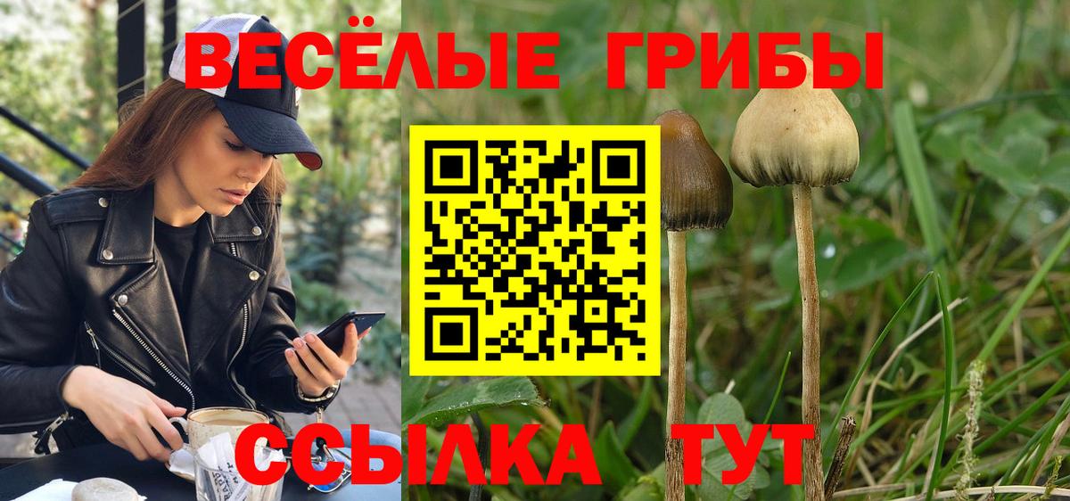 Псилоцибиновые грибы Cubensis Югорск